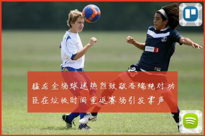 猛龙全场球迷热烈致敬洛瑞绝对功臣在垃圾时间重返赛场引发掌声